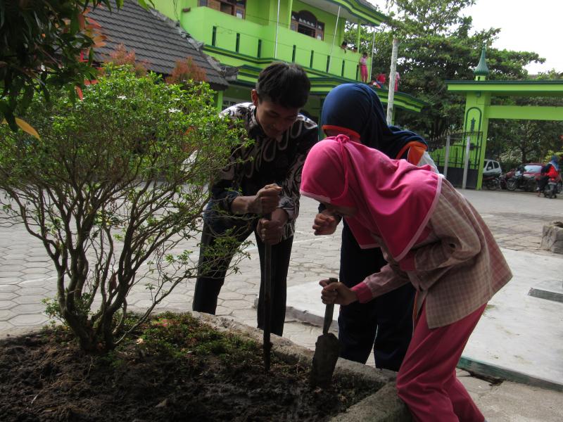 Penanaman dan Pemeliharaan Pohon di area Madrasah